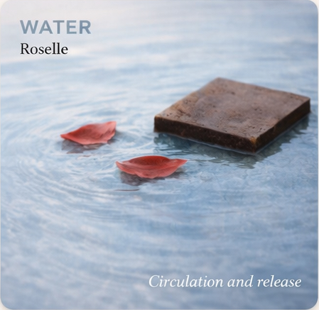 Cacao Cube Water — Roselle